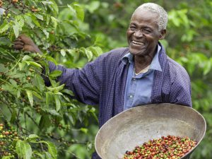 Kenyan Fair Trade Coffee Farmer
